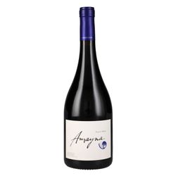 Vino G. Silva Amayna Pinot Noir 750 cc