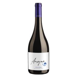 Vino G. Silva Amayna Ensamblaje 750 cc