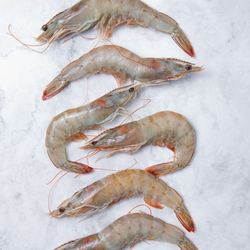 Camarón Entero 16/20 con Cola Granel