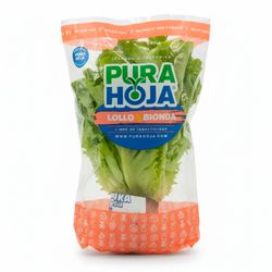 Lechuga Lollo Bionda Hidropónica 1 un.