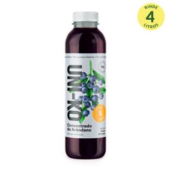 Concentrado Fruta Uni-Ko Arándano 300 ml
