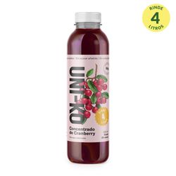 Concentrado Fruta Uni-Ko Cranberry 300 ml