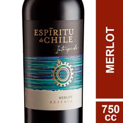 Vino Espíritu de Chile Reserva Merlot 750 cc