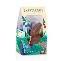 Surtido de Chocolate N1 75 g