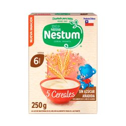 Cereal Infantil Nestum 5 Cereales 250 g
