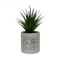 Planta en Maceta
