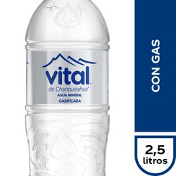Agua Mineral Vital Gasificada 2.5 L